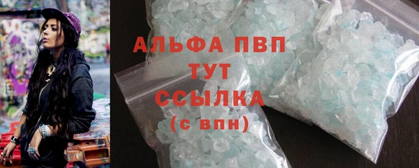 spice Баксан