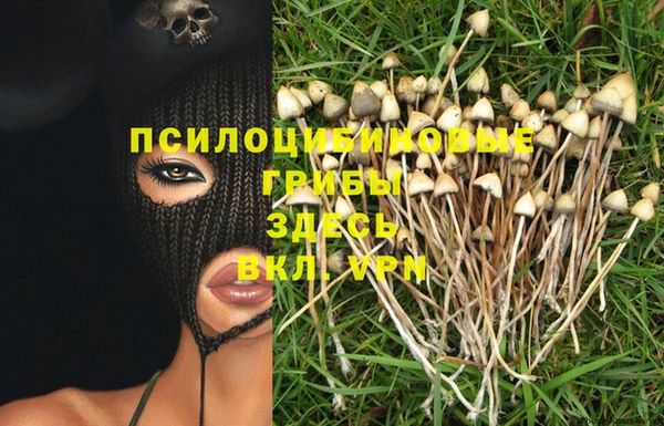 a pvp Балабаново