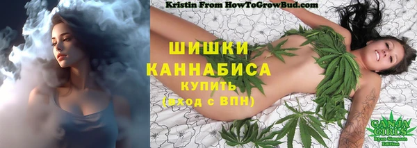 бошки Балахна